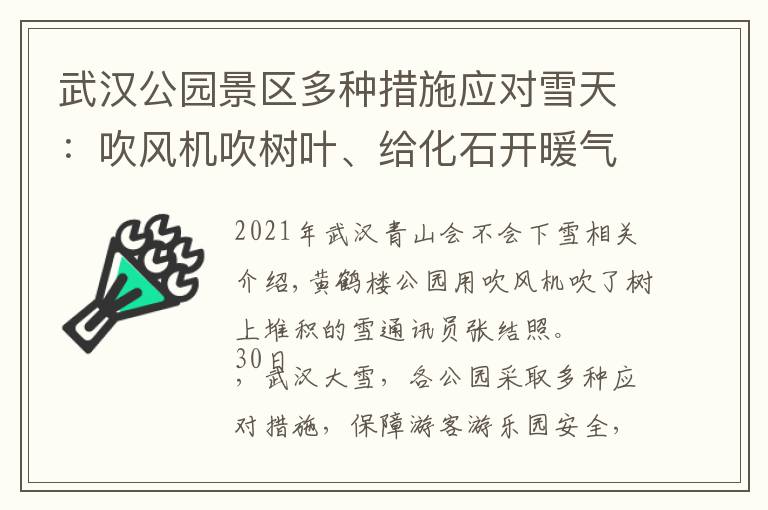 武汉公园景区多种措施应对雪天：吹风机吹树叶、给化石开暖气文章配图
