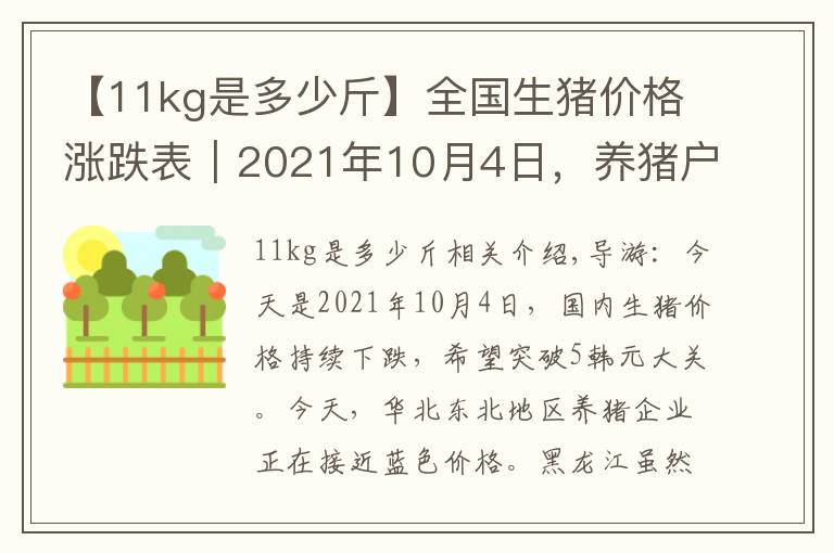 【11kg是多少斤】全国生猪价格涨跌表｜2021年10月4日，养猪户已经“无力回天”