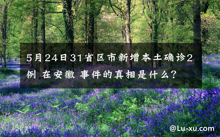 5月24日31省区市新增本土确诊2例 在安徽 事件的真相是什么？