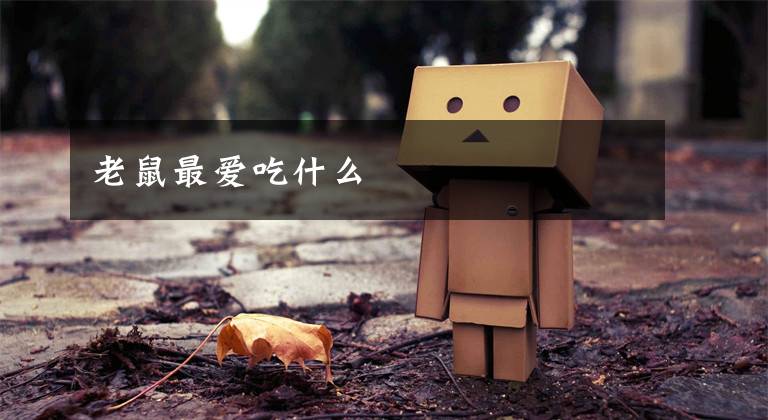 老鼠最爱吃什么文章配图