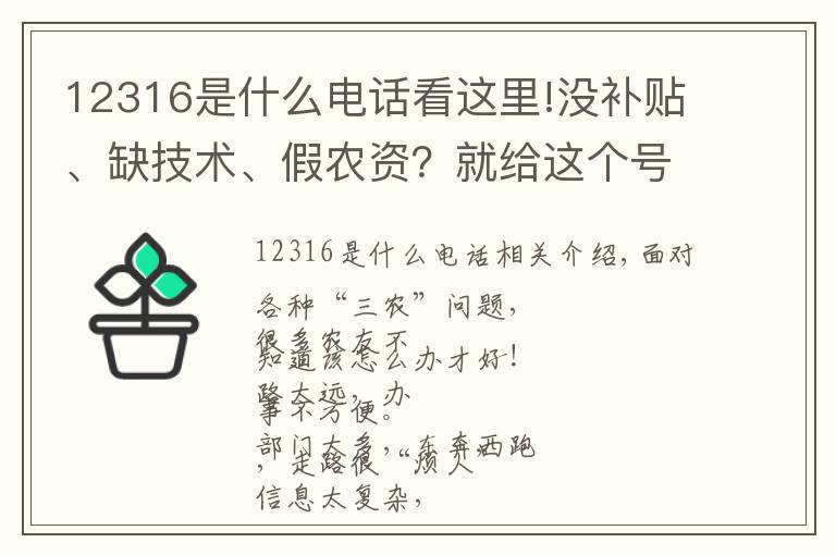 12316是什么电话看这里!没补贴、缺技术、假农资？就给这个号码打电话！