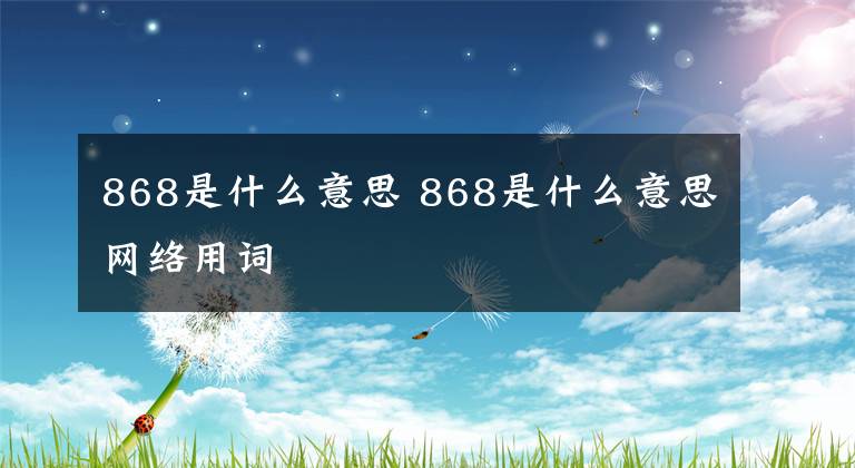 868是什么意思 868是什么意思网络用词