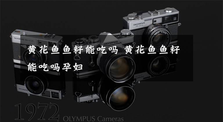 黄花鱼鱼籽能吃吗 黄花鱼鱼籽能吃吗孕妇文章配图