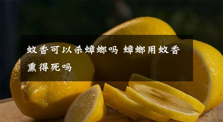 蚊香可以杀蟑螂吗 蟑螂用蚊香熏得死吗文章配图