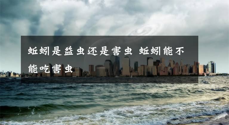 蚯蚓是益虫还是害虫 蚯蚓能不能吃害虫文章配图