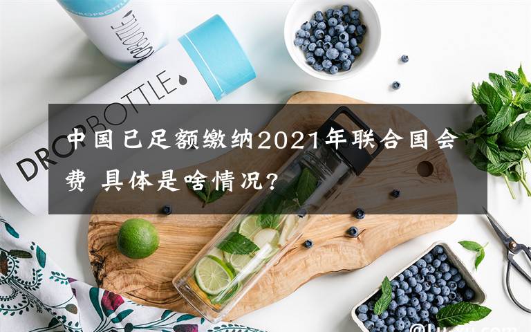 中国已足额缴纳2021年联合国会费 具体是啥情况?