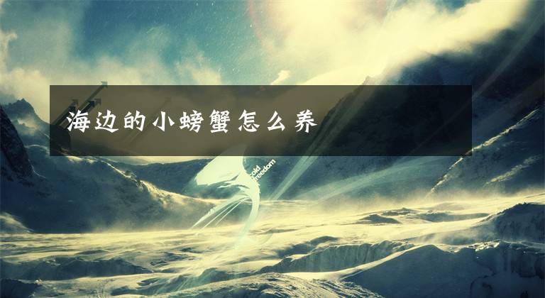 海边的小螃蟹怎么养文章配图
