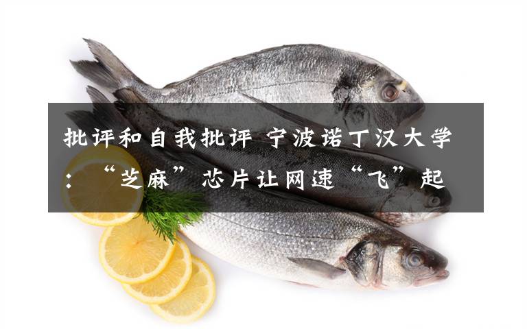 批评和自我批评 宁波诺丁汉大学：“芝麻”芯片让网速“飞”起来文章配图