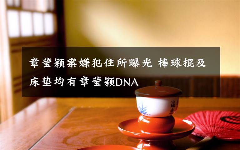 章莹颖案嫌犯住所曝光 棒球棍及床垫均有章莹颖DNA