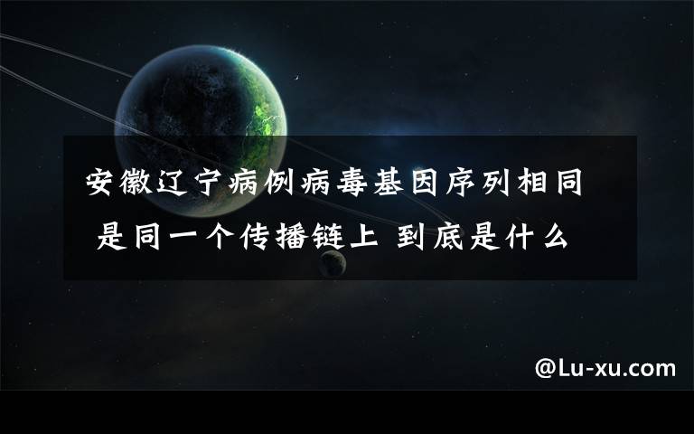 安徽辽宁病例病毒基因序列相同 是同一个传播链上 到底是什么状况？