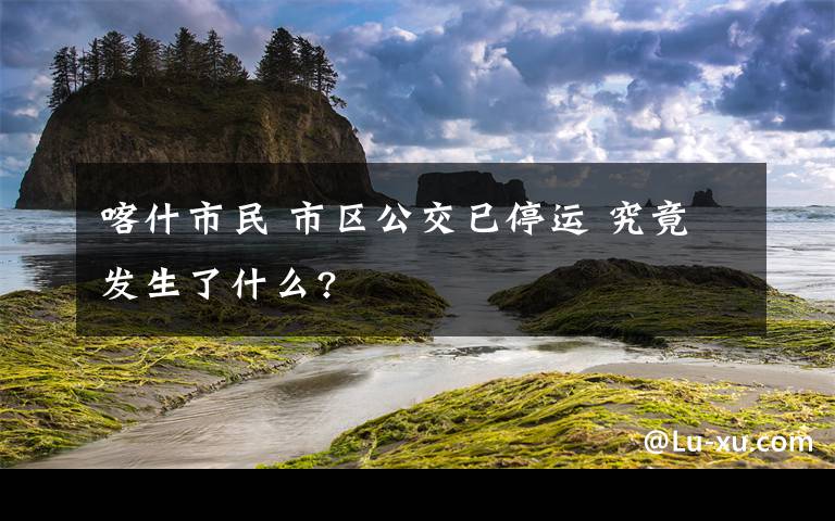 喀什市民 市区公交已停运 究竟发生了什么?