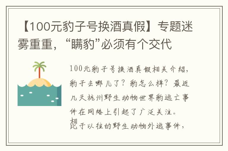 【100元豹子号换酒真假】专题迷雾重重，“瞒豹”必须有个交代