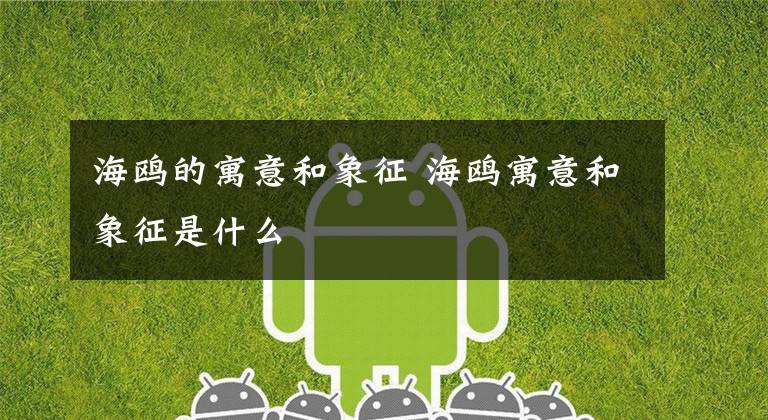 海鸥的寓意和象征 海鸥寓意和象征是什么文章配图