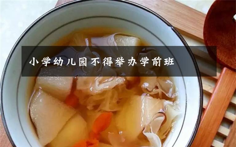 小学幼儿园不得举办学前班文章配图