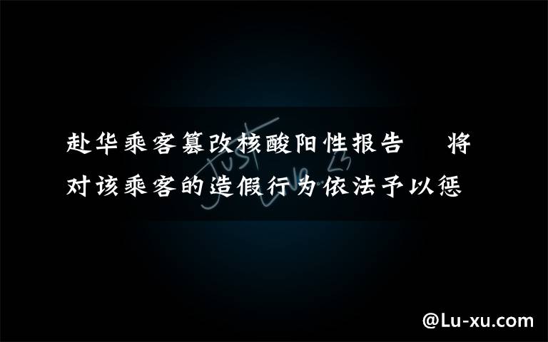 赴华乘客篡改核酸阳性报告  将对该乘客的造假行为依法予以惩处 还原事发经过及背后真相！