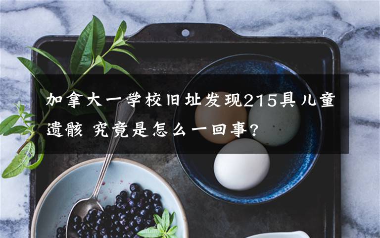 加拿大一学校旧址发现215具儿童遗骸 究竟是怎么一回事?