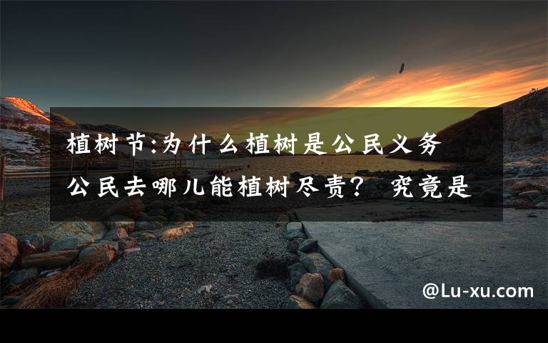 植树节:为什么植树是公民义务 公民去哪儿能植树尽责？ 究竟是怎么一回事?