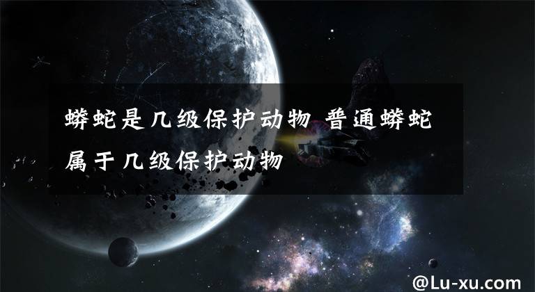 蟒蛇是几级保护动物 普通蟒蛇属于几级保护动物文章配图