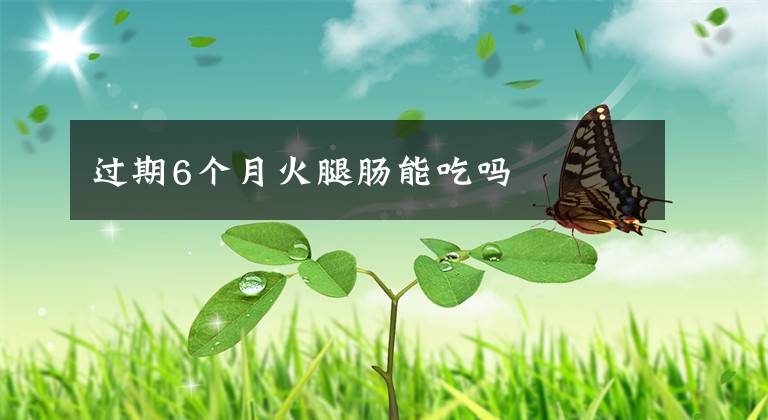过期6个月火腿肠能吃吗文章配图