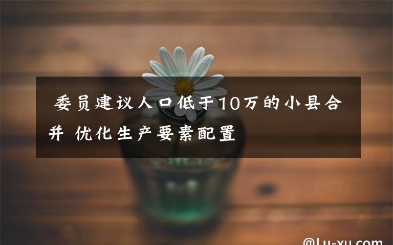  委员建议人口低于10万的小县合并 优化生产要素配置