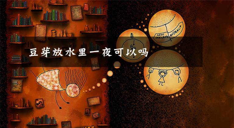 豆芽放水里一夜可以吗文章配图