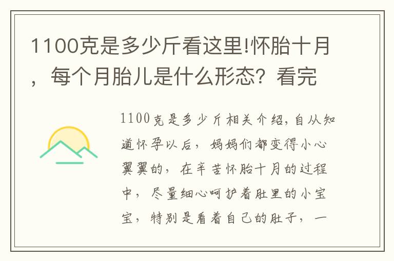 1100克是多少斤看这里!怀胎十月，每个月胎儿是什么形态？看完不得不感叹生命的伟大