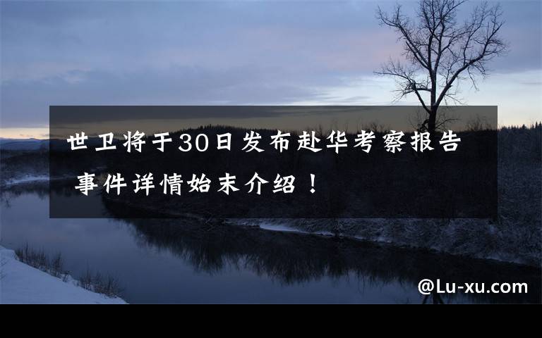 世卫将于30日发布赴华考察报告 事件详情始末介绍！文章配图
