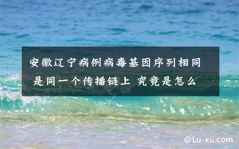 安徽辽宁病例病毒基因序列相同 是同一个传播链上 究竟是怎么一回事?