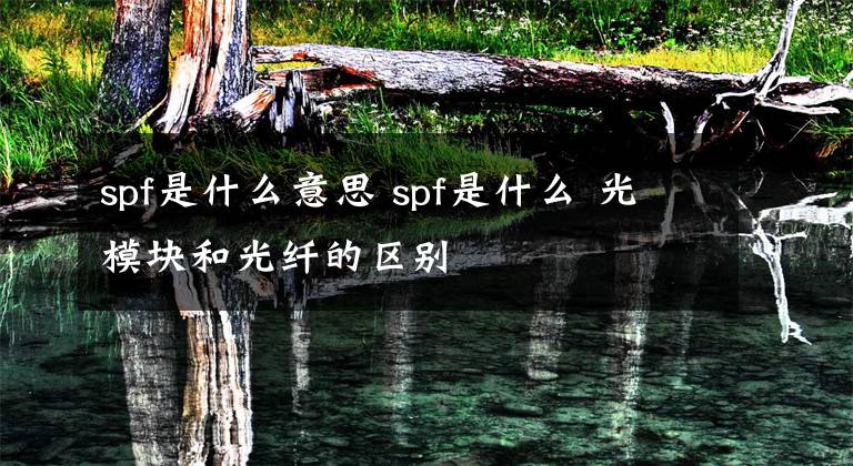 spf是什么意思 spf是什么 光模块和光纤的区别