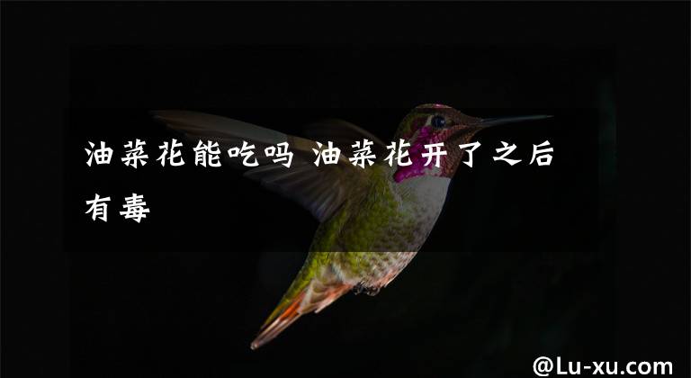 油菜花能吃吗 油菜花开了之后有毒