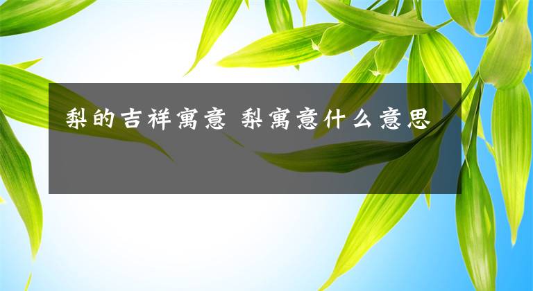 梨的吉祥寓意 梨寓意什么意思文章配图
