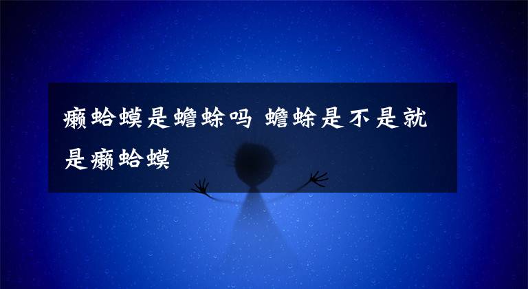 癞蛤蟆是蟾蜍吗 蟾蜍是不是就是癞蛤蟆文章配图