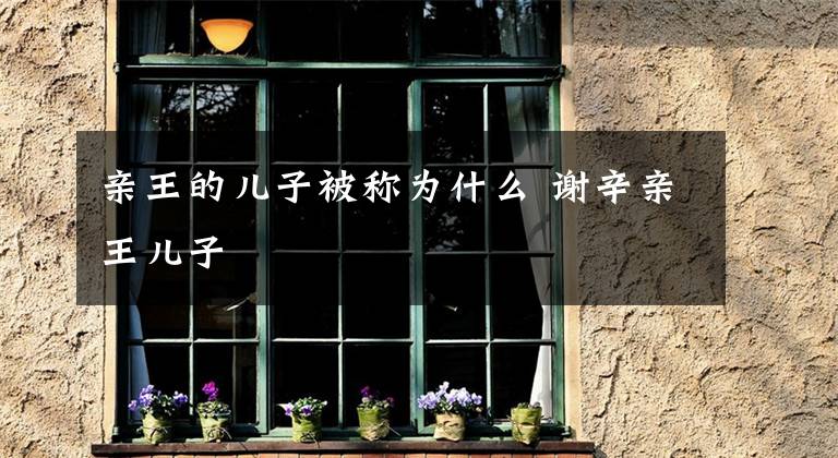 亲王的儿子被称为什么 谢辛亲王儿子文章配图