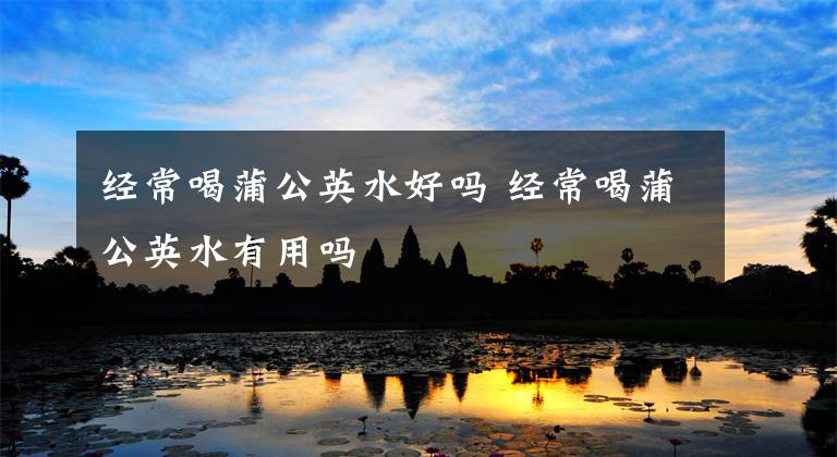 经常喝蒲公英水好吗 经常喝蒲公英水有用吗文章配图