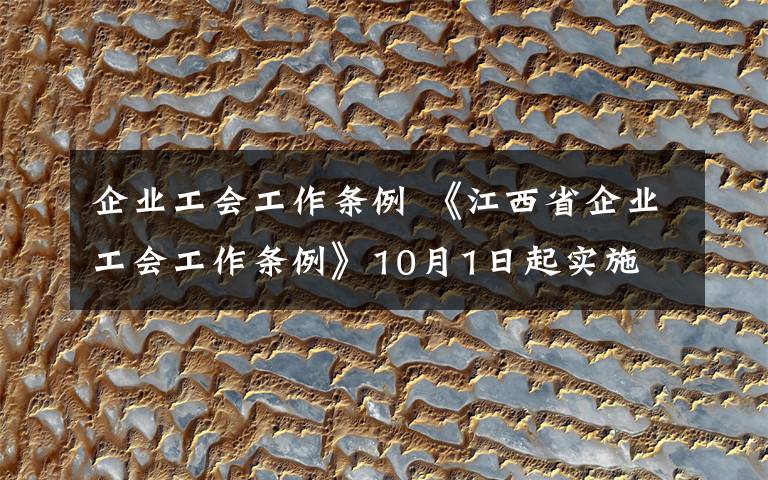 企业工会工作条例 《江西省企业工会工作条例》10月1日起实施