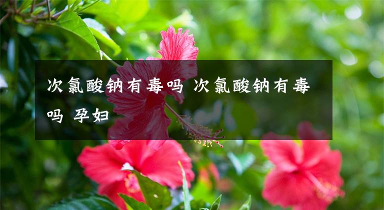 次氯酸钠有毒吗 次氯酸钠有毒吗 孕妇文章配图