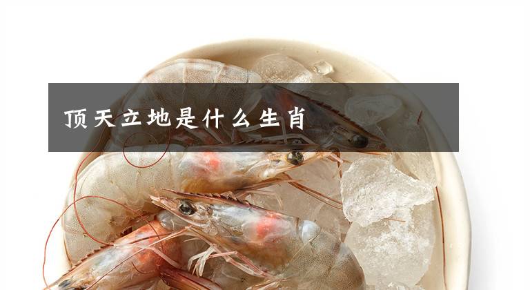 顶天立地是什么生肖文章配图