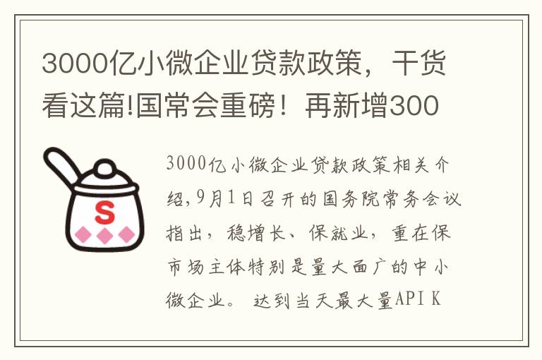 3000亿小微企业贷款政策，干货看这篇!国常会重磅！再新增3000亿元支小再贷款额度，发挥专项债作用带动扩大有效投资