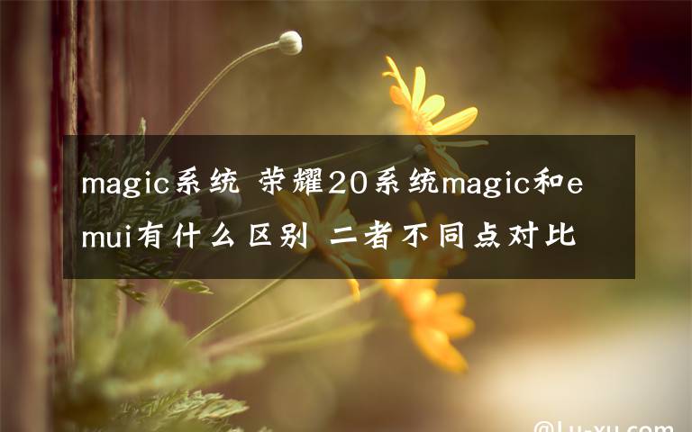 magic系统 荣耀20系统magic和emui有什么区别 二者不同点对比介绍文章配图