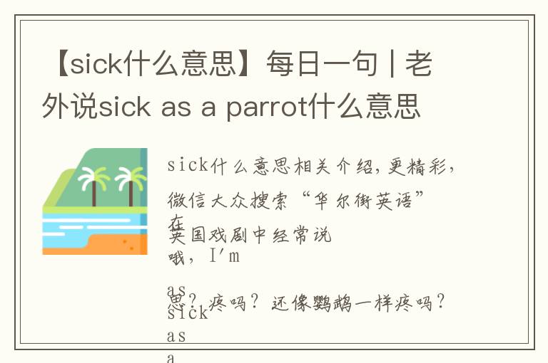 【sick什么意思】每日一句 | 老外说sick as a parrot什么意思？病得像只鹦鹉？
