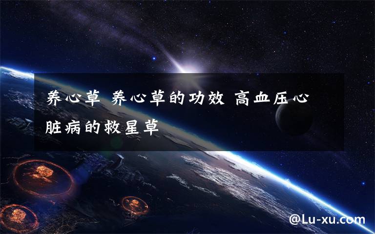 养心草 养心草的功效 高血压心脏病的救星草