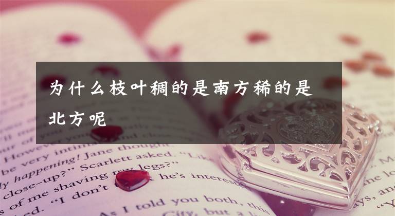 为什么枝叶稠的是南方稀的是北方呢文章配图