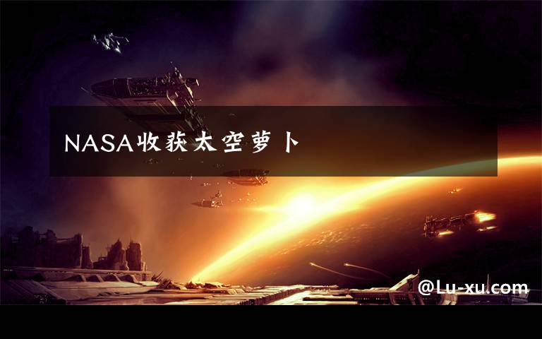 NASA收获太空萝卜文章配图