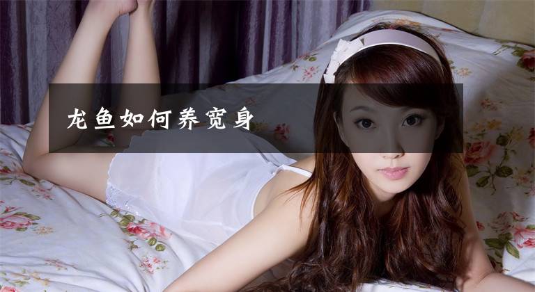 龙鱼如何养宽身文章配图