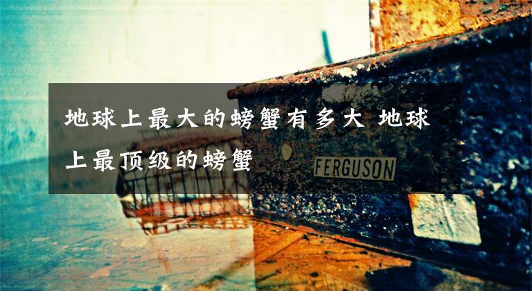 地球上最大的螃蟹有多大 地球上最顶级的螃蟹文章配图