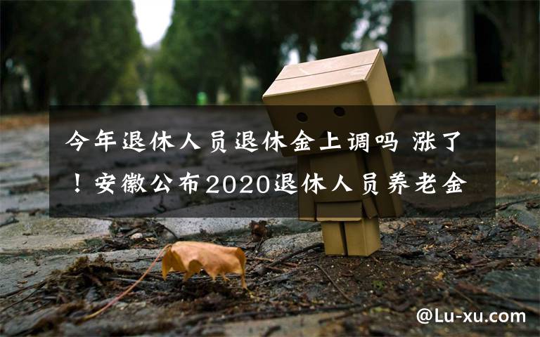 今年退休人员退休金上调吗 涨了！安徽公布2020退休人员养老金上调方案