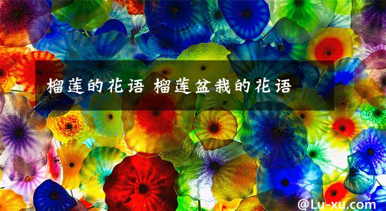 榴莲的花语 榴莲盆栽的花语文章配图