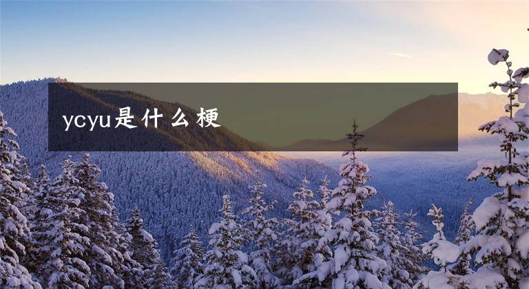ycyu是什么梗文章配图