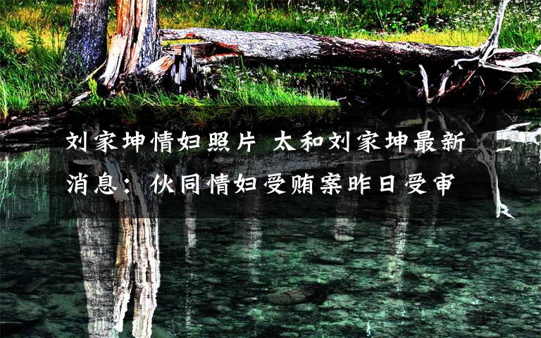 刘家坤情妇照片 太和刘家坤最新消息：伙同情妇受贿案昨日受审求轻判文章配图