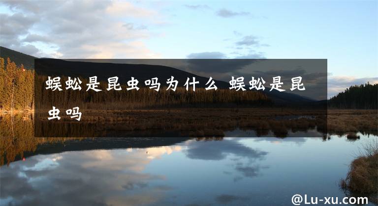 蜈蚣是昆虫吗为什么 蜈蚣是昆虫吗文章配图